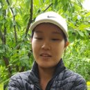 체리 민박 이미지