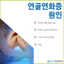 춘천드림마취통증의학과의원 이미지