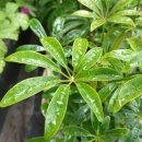 창제한의원 이미지