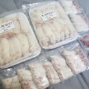 컴페니언 펫 이미지