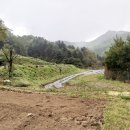 옥천면보건지소 이미지