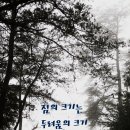 여행은 선택1(옷, 유심) 이미지