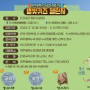 제주별빛누리공원 이미지