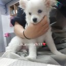 비비드그루밍 이미지