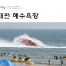 바이솔