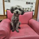 동진중학교 이미지