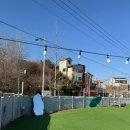 댕댕테이블 | 청주 산남동 에브리댕댕 후기｜프라이빗 단독 애견운동장 추천