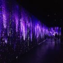 아르떼뮤지엄 이미지