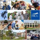 ELS어학원 이미지