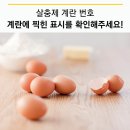 농업회사법인 조인팜스(주) 이천지점 | 살충제 계란 번호 / 냉장고 속 계란, 이것 확인해주세요!
