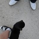 '랜드보틀펍' 내돈내산 후기 [안성/공도]