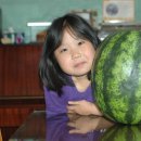 달우물농장 이미지