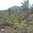 암산마을 이미지