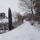 몸살림체조 이미지