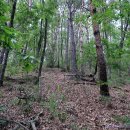 봉우재1길 이미지