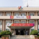 국지도70호 은행나무 이미지