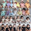 조동농장 이미지