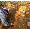 오순농장 이미지