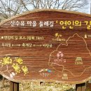 산수유 연인의길 이미지