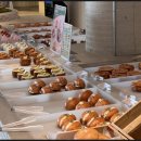 올데이스테이 이미지