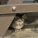 대천리조텔 | [대천해수욕장 숙소 대천리조텔]대천해수욕장 바로 앞 깔끔한 숙소 찐후기