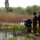 송화초등학교 이미지