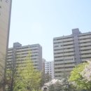 잠원동073 이미지