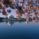타이들 베이슨 Tidal Basin 이미지
