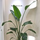 김순흠성형외과의원 이미지