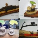 나무이야기 협동조합 이미지