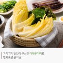 구룡포 과메기 네이버블로그