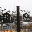 클럽더독스 이미지