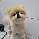 강산동물병원 이미지