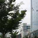 버스정류장(롯데몰) 이미지