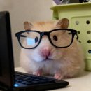 다비치안경원(시흥홈플러스앞점) | 시흥안경 • 다비치안경 • 얼굴형에 맞는 테 고르는 팁 • 구매후기🧾