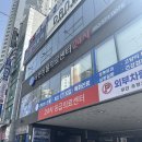 대구고양이동물병원 바른동물의료센터 할배고양이 건강검진 후기