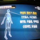 여성 갱년기에 자두와 초록 콩나물/천기누설 이미지