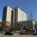 십자약국 | 강동경희대학병원 예약 전방십자인대 재건술 치료 후기