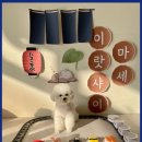 댕구르르 이미지