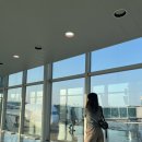 서현관광여행사 | 🇯🇵 FUKUOKA 후쿠오카 3박 4일 (2024.03.24 - 2024.03.27)