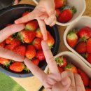 토리농장 | 딸기체험 추천｜동읍 내가키워팜 주말에 아이와 겨울 체험농장 후기 (가격·무료입장·체험정보 총정리)