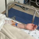 철원병원 | B형독감 이슈 [ 철원병원 응급실 진료 ] 증상 일기