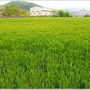 서정마을~서정저수지 이미지