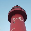 빨간등대 이미지