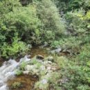 무릉도원면-31 이미지