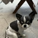 해림민박 이미지