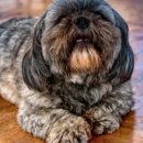 강진-35 | 강진 맛집 추천 한정식, 불고기, 짱뚱어 10곳