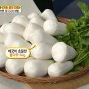 알토란 티스토리
