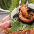 혼밥간편요리 이미지