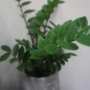 황금나무공인중개사사무소 이미지